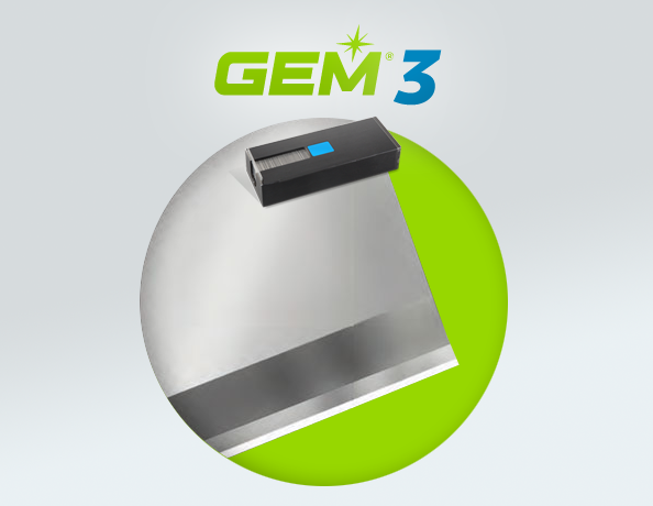 GEM3
